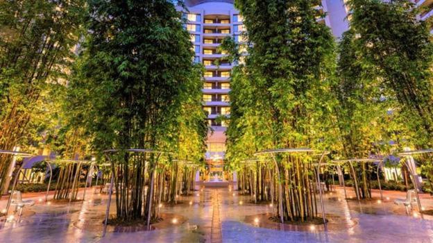 Bay Lake Tower At Disney'S Contemporary Resort Orlando Exterior foto